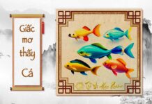 Giải mã giấc mơ thấy Cá có ý nghĩa gì ? Nằm mơ thấy con Cá có điềm báo gì ? Giải mã giấc mơ thấy Cá