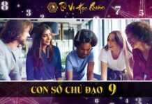 Người có con số chủ đạo 9 là gì ? Số chủ đạo 9 hợp với số nào ? Người có con số chủ đạo 9