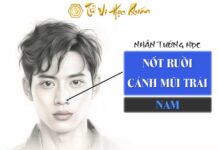 Nốt ruồi cánh mũi trái nam tốt hay xấu ? Nốt ruồi ở cánh mũi trái nam có ý nghĩa gì ? Nốt ruồi cánh mũi trái nam
