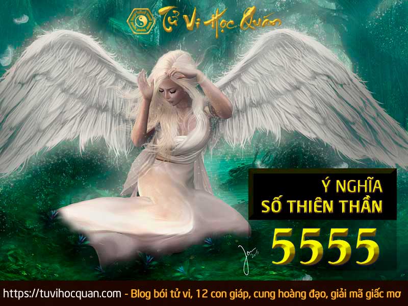 Ý nghĩa sồ thiên thần 5555