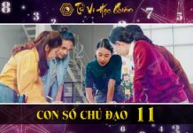 Người có con số chủ đạo 11 là gì ? Số chủ đạo 11 hợp với số nào ? Người có con số chủ đạo 11