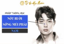 Nốt ruồi sống mũi phải nam tốt hay xấu ? Nốt ruồi ở sống mũi phải nam có ý nghĩa gì ? Nốt ruồi sống mũi phải nam