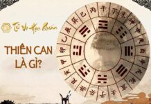 Thiên Can là gì ? Cách tính Thiên Can Địa Chi Thiên Can là gì