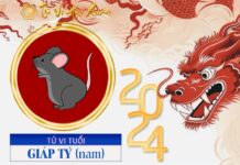 Xem tử vi Giáp Tý 1984 năm 2024 nam mạng Tử vi tuổi Giáp Tý 1984 năm 2024 nam mạng