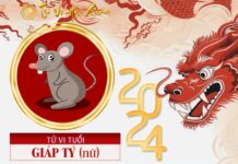 Xem tử vi tuổi Giáp Tý 1984 năm 2024 nữ mạng Tử vi tuổi Giáp Tý 1984 năm 2024 nữ mạng