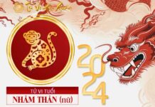 Xem tử vi tuổi nhâm thân 1992 năm 2024 nữ mạng Tử vi tuổi nhâm thân 1992 năm 2024 nữ mạng