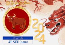 Xem tử vi tuổi Ất Sửu 1985 năm 2024 nam mạng Xem tử vi tuổi Ất Sửu 1985 năm 2024 nam mạng